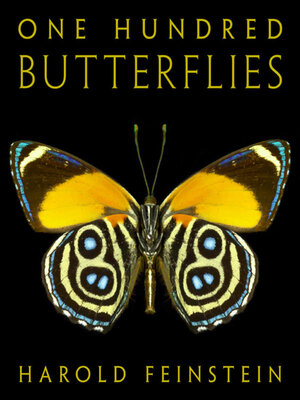 One Hundred Butterflies - ebook